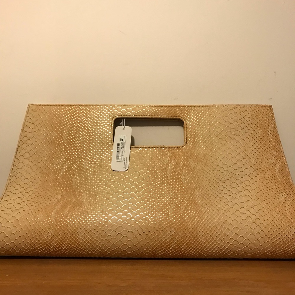 Gold and Nude Charming Charlie’s large clutch